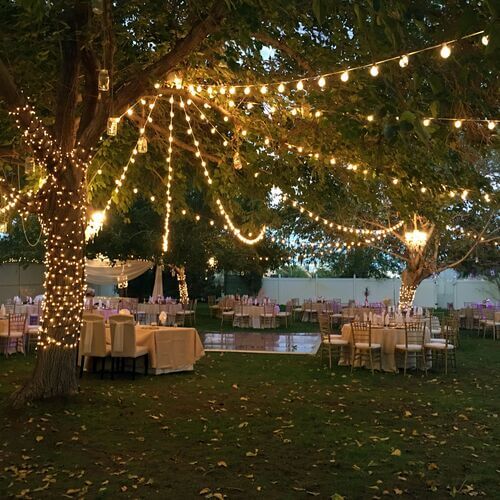 cozy backyard wedding with lights