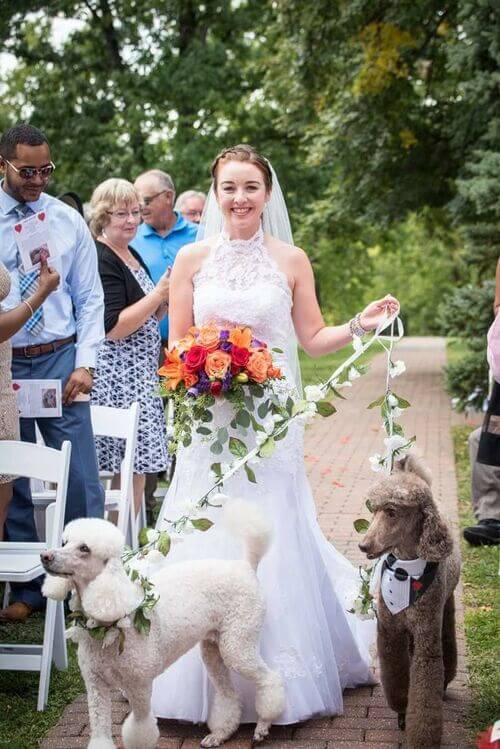 how to have a non traditional wedding with pets