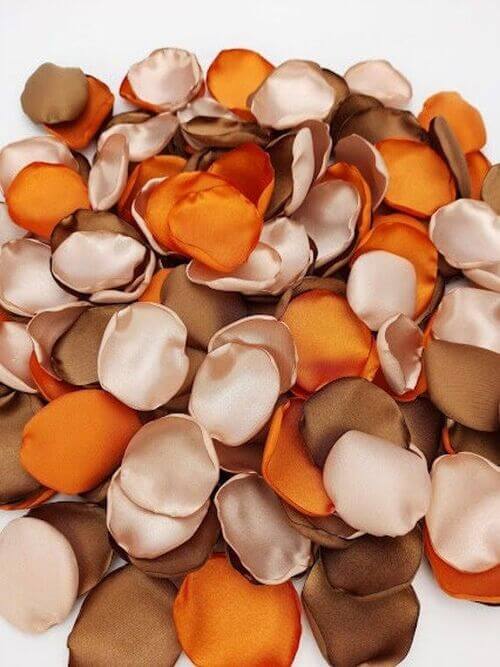 burnt orange flower petals