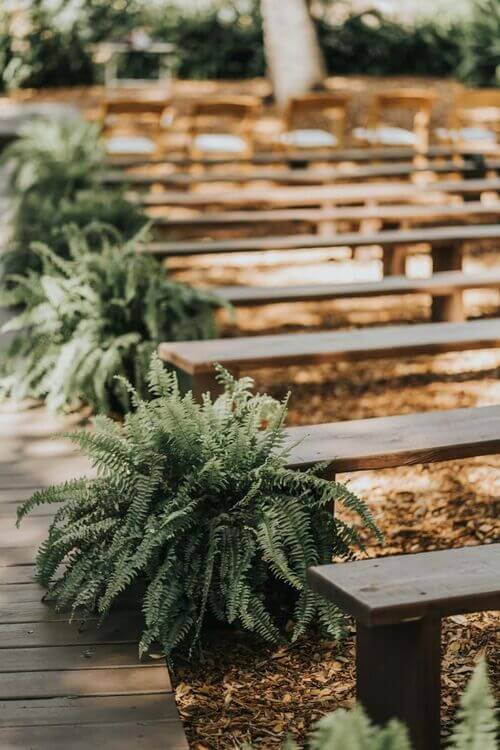 ferns wedding aisle