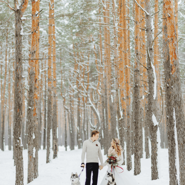 winter wedding ideas on a budget