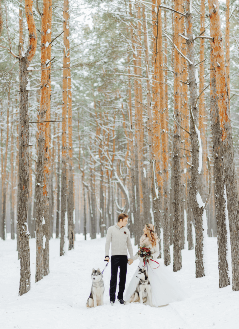 25 Stunning Winter Wedding Ideas On A Budget That Feel Magical