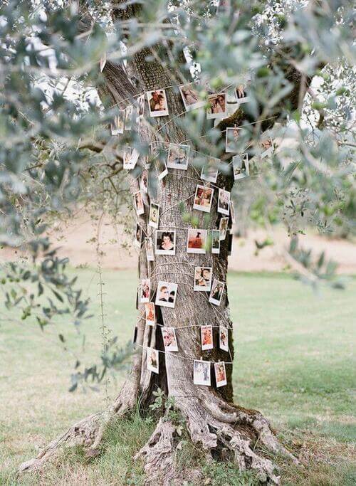 picture tree