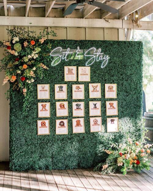 Seating chart with bride and grooms dogs