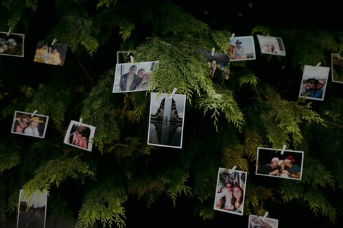 Picture tree wedding photo display
