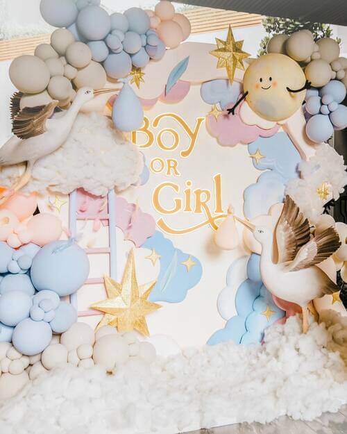 Baby shower backdrop boy or girl